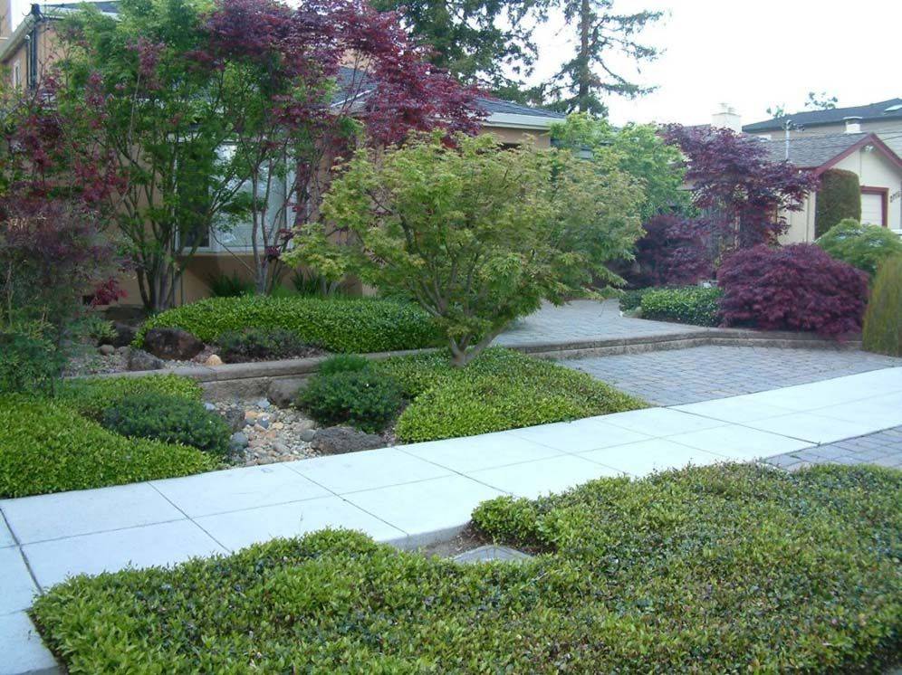 Your Garden