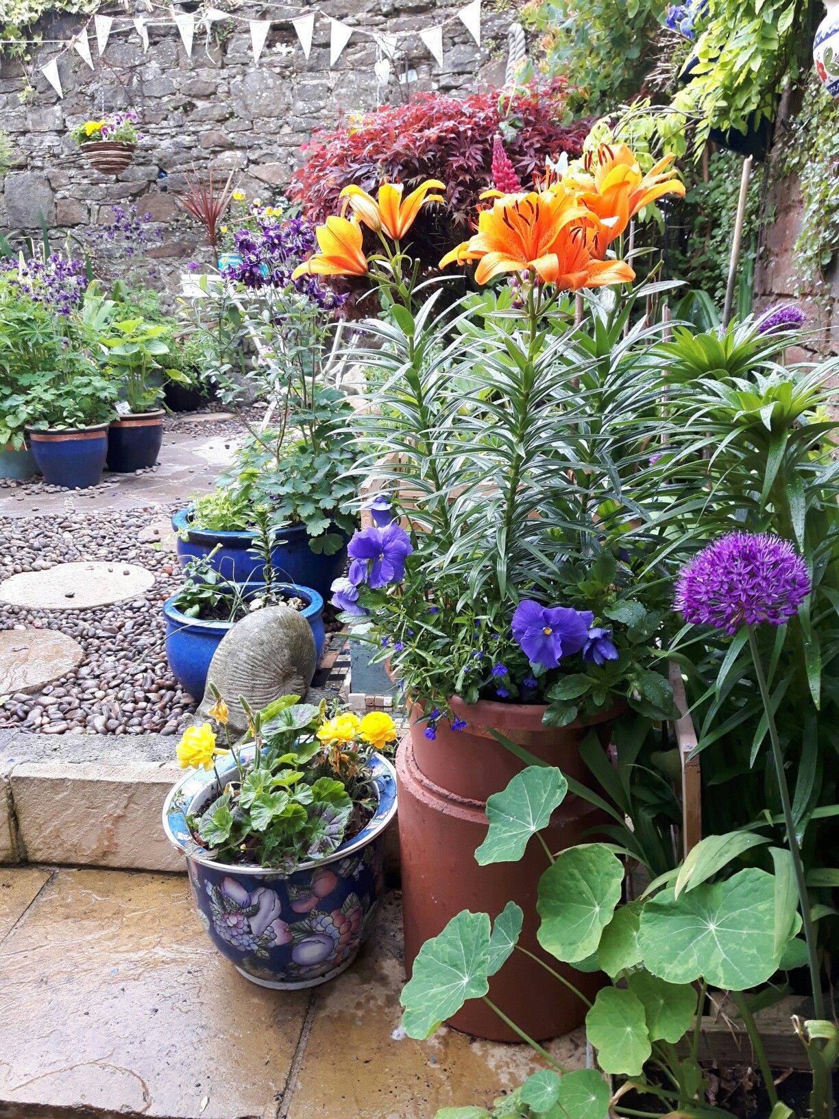 An Artists Serenity Garden Claudia Jacobs Designs