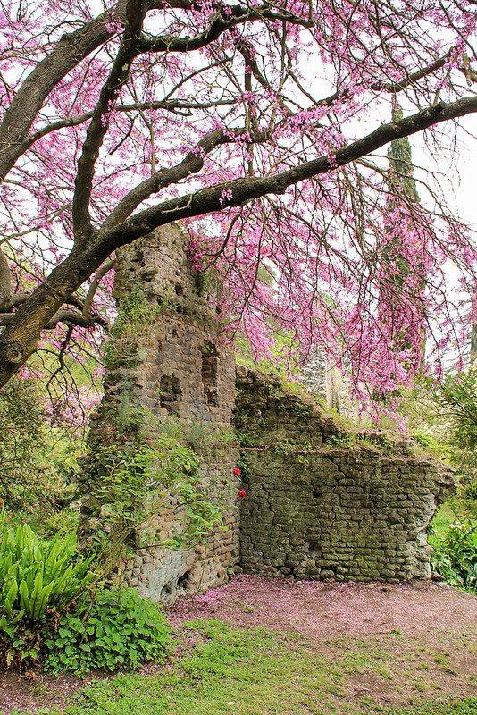 Pin On Gardening Landscaping