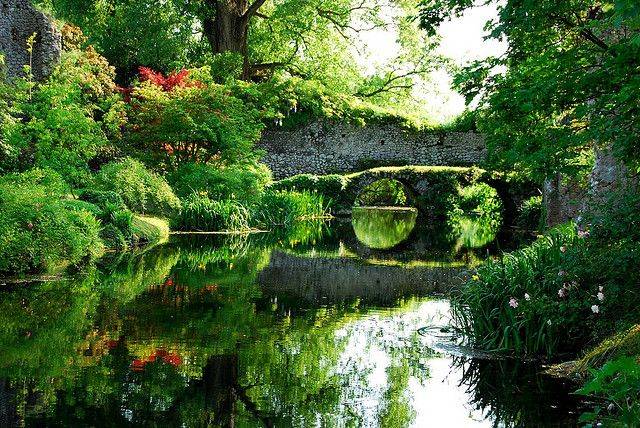 Pin On Nature