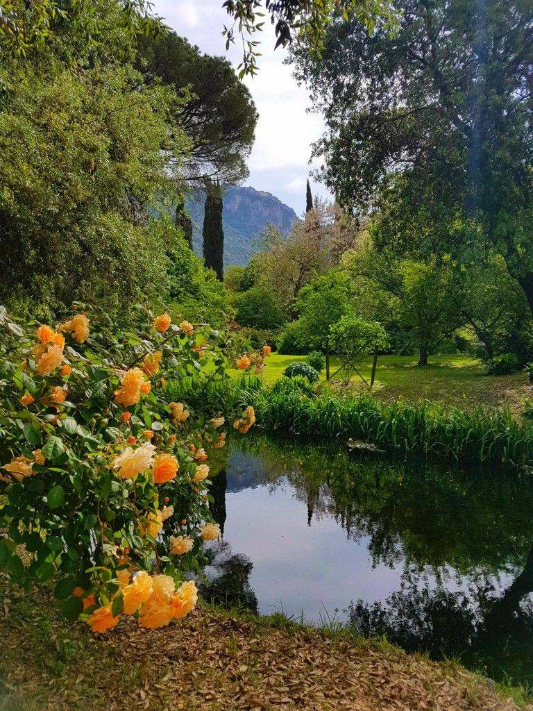 Pin On Nature