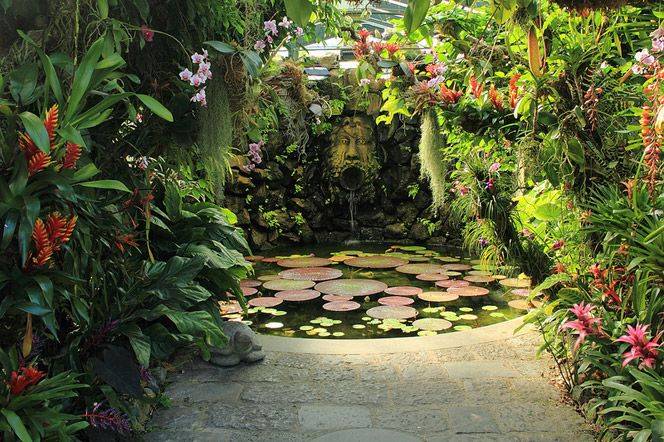 Mortella Google Search Small Tropical Gardens