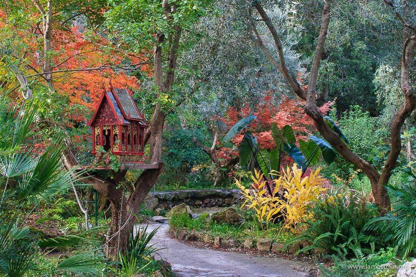 Giardini La Mortella Ischia Giardino Fiori Piante