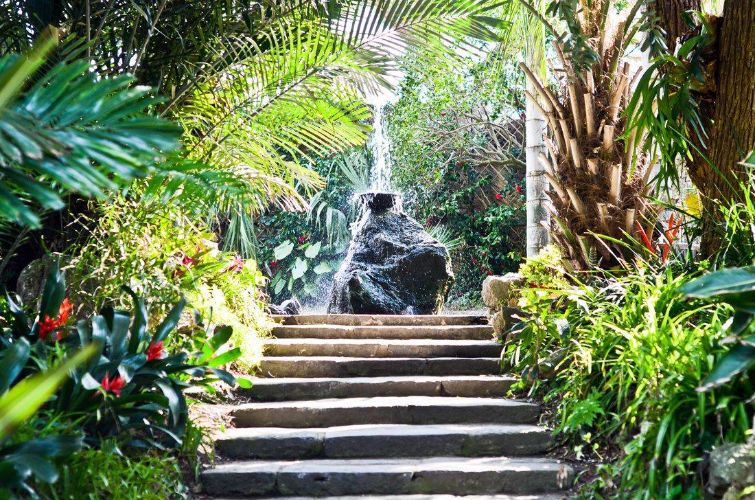 A Ischia Beautiful Gardens