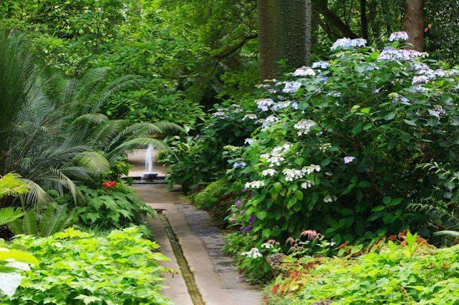 The La Mortella Gardens Strand Hotel Terme Delfini Ischia Garden