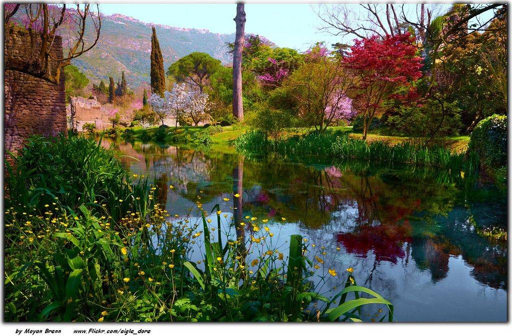 Avonlea Gardens