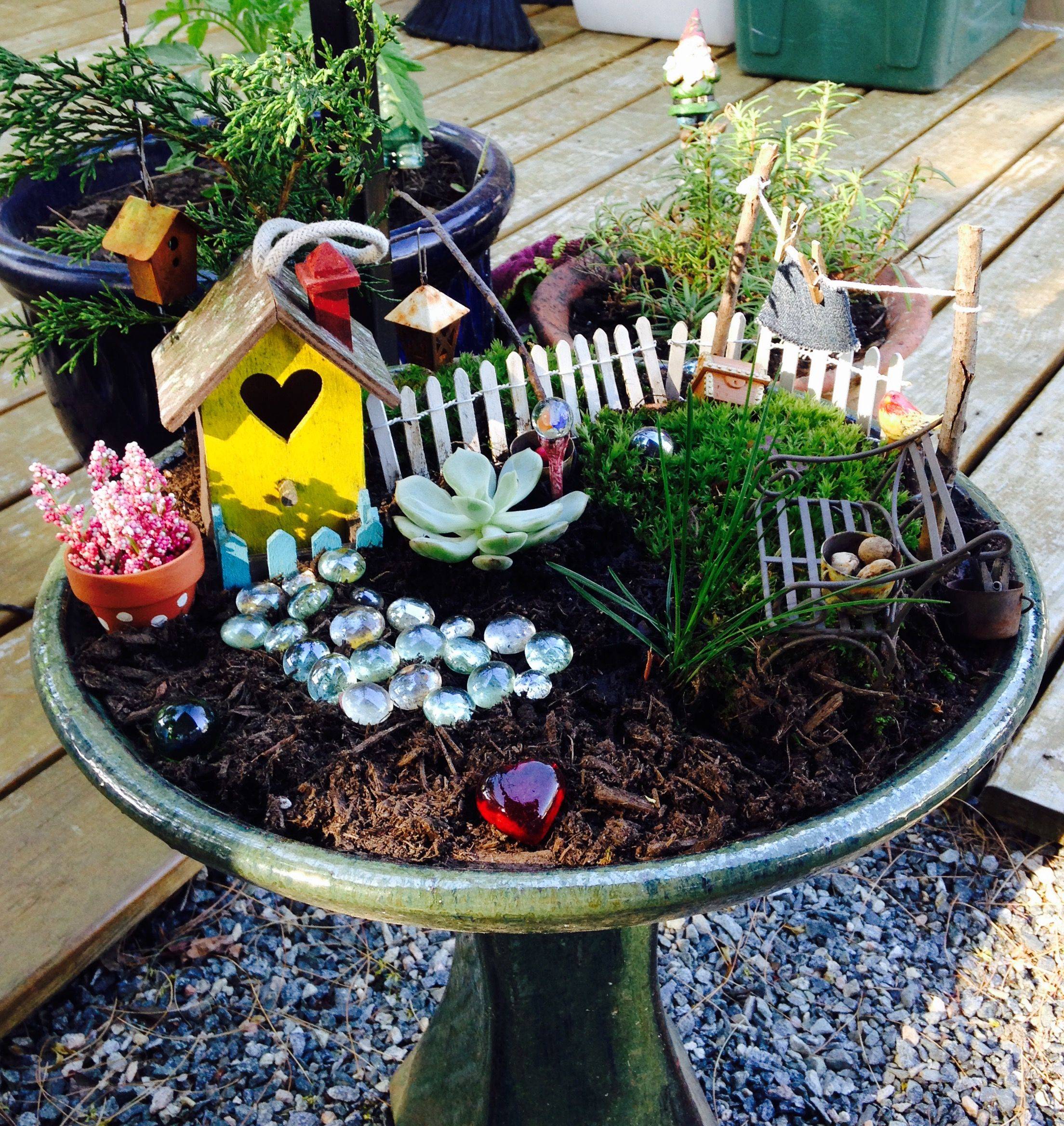 Edible Landscaping And Fairy Gardens