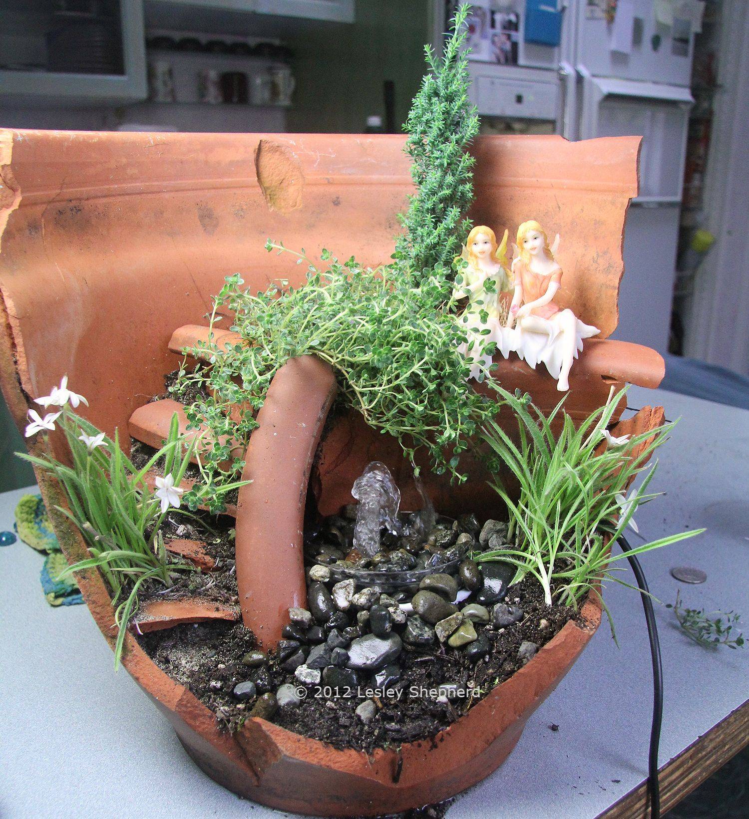 Indoor Container Water Garden Ideas