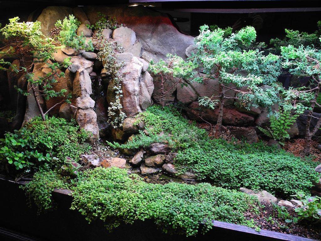 Indoor Fountain Ideas
