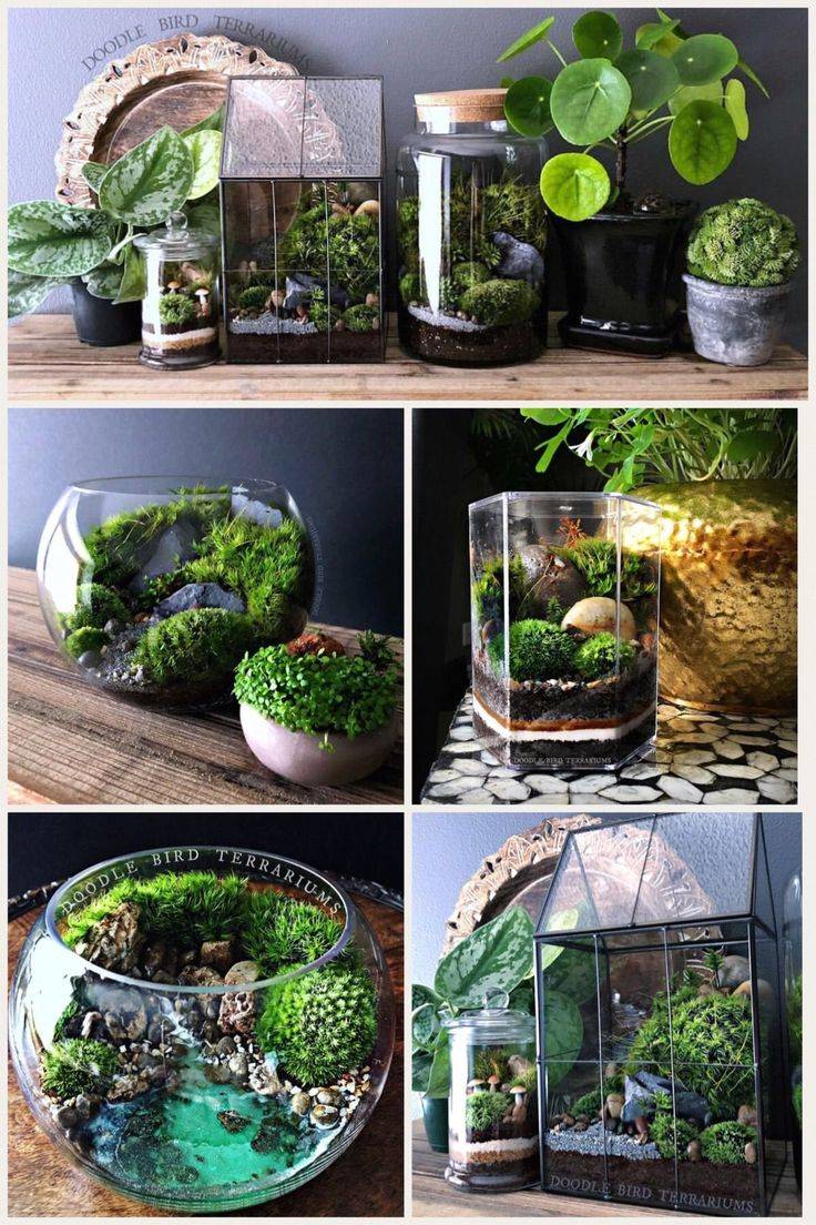 Easy Diy Fairy Garden Design Ideas