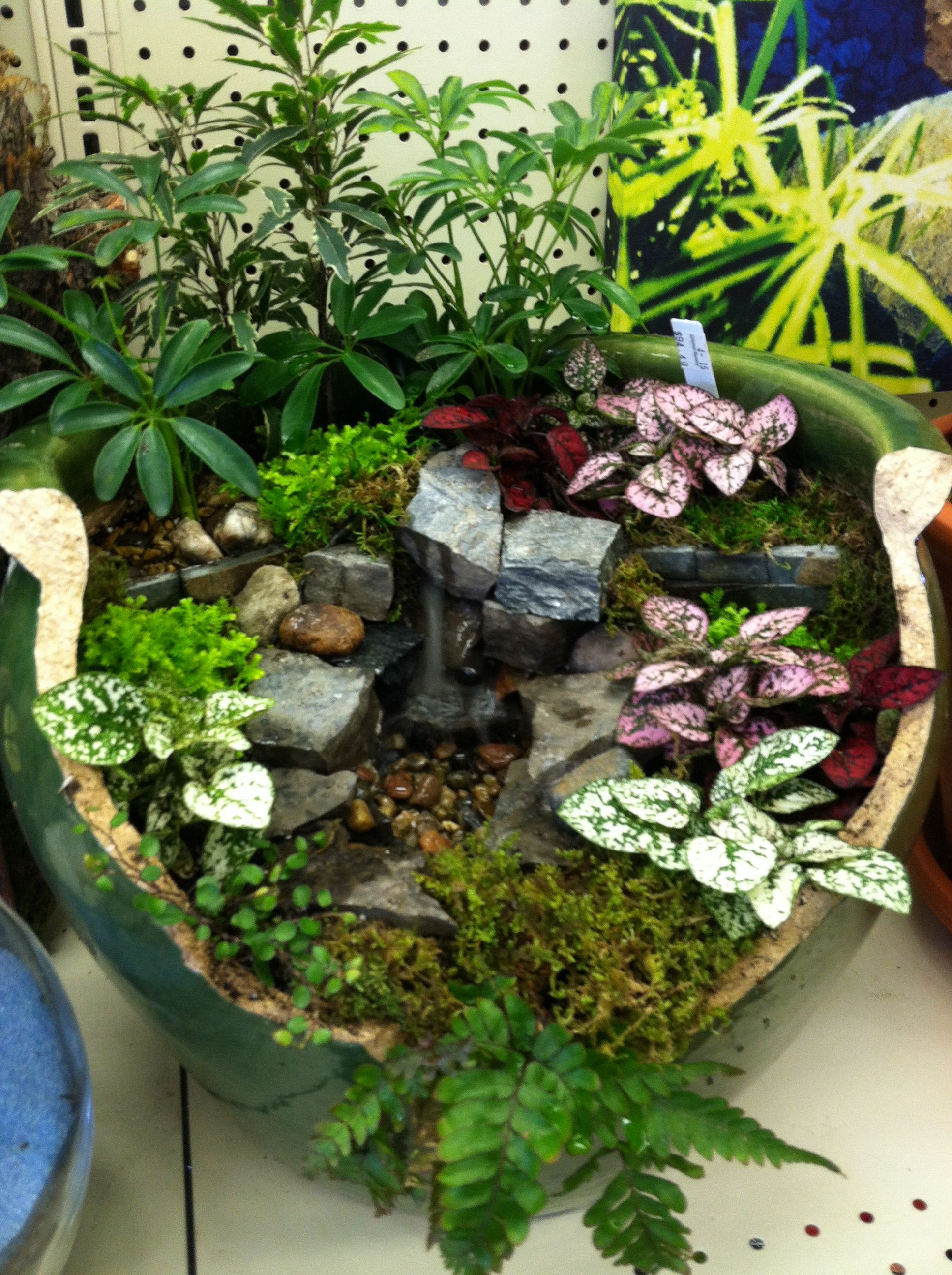 Home Decor Mini Terrariumwaterfall