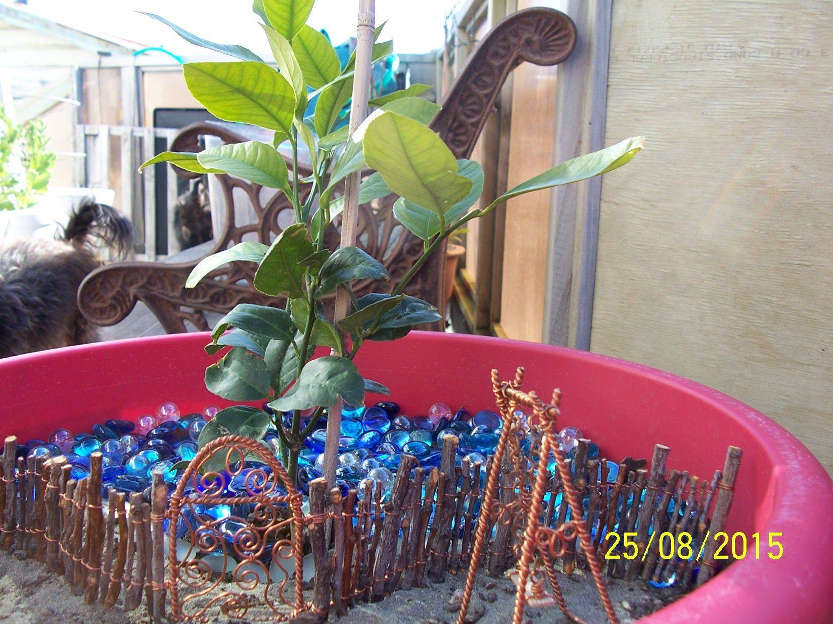 Best Diy Fairy Garden Accessories Craftsonfire