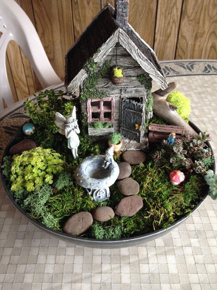 Indoor Fairy Gardens