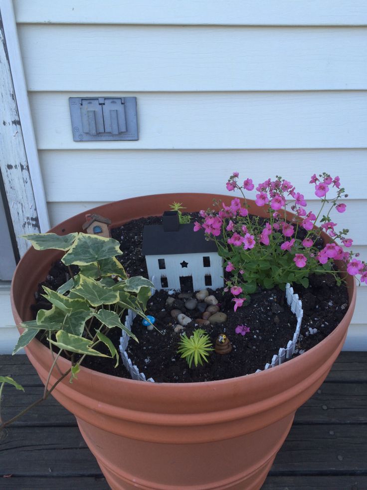 The Vegetable Garden