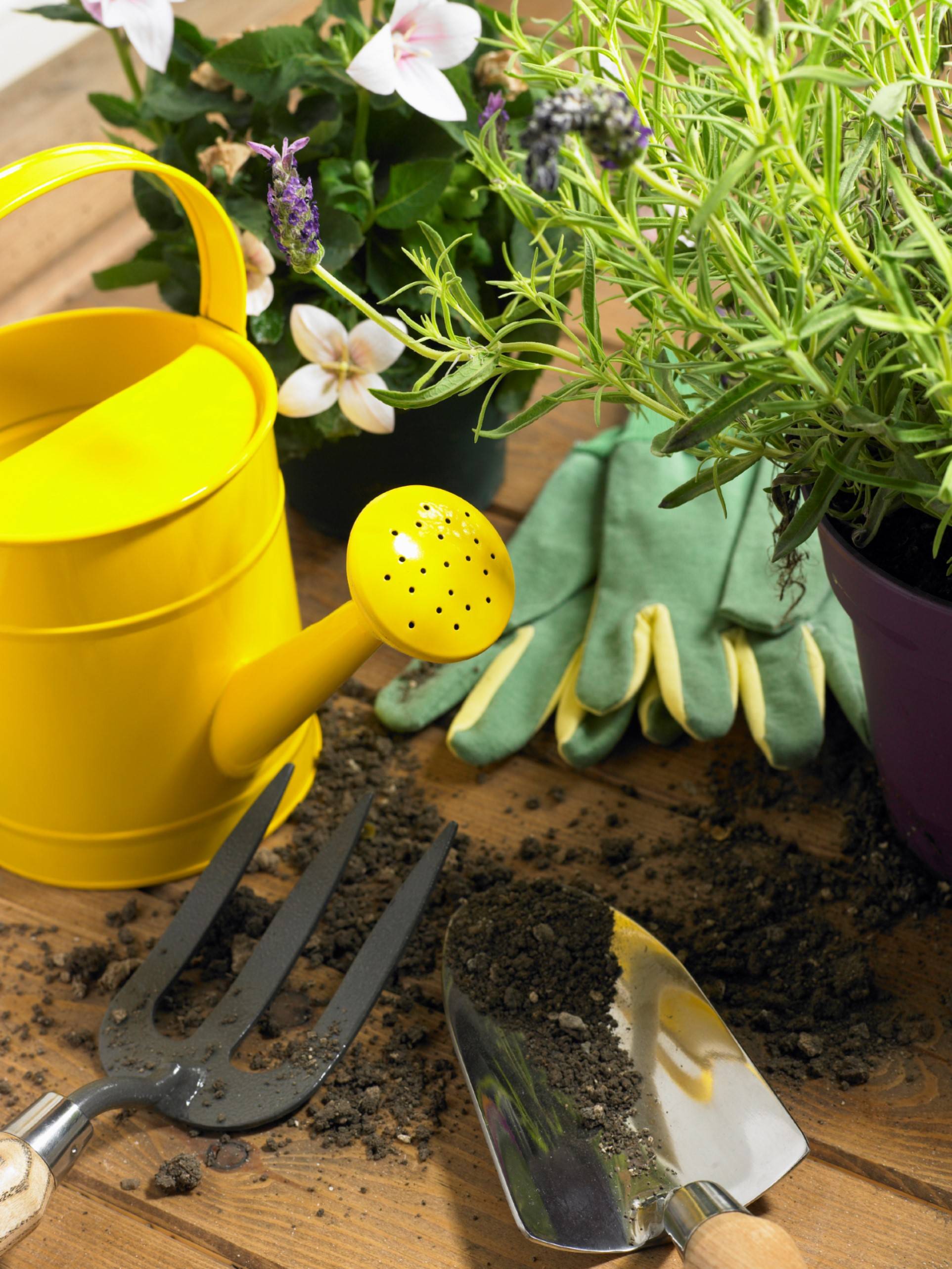 20 Gardening Accessories Ideas You Cannot Miss SharonSable