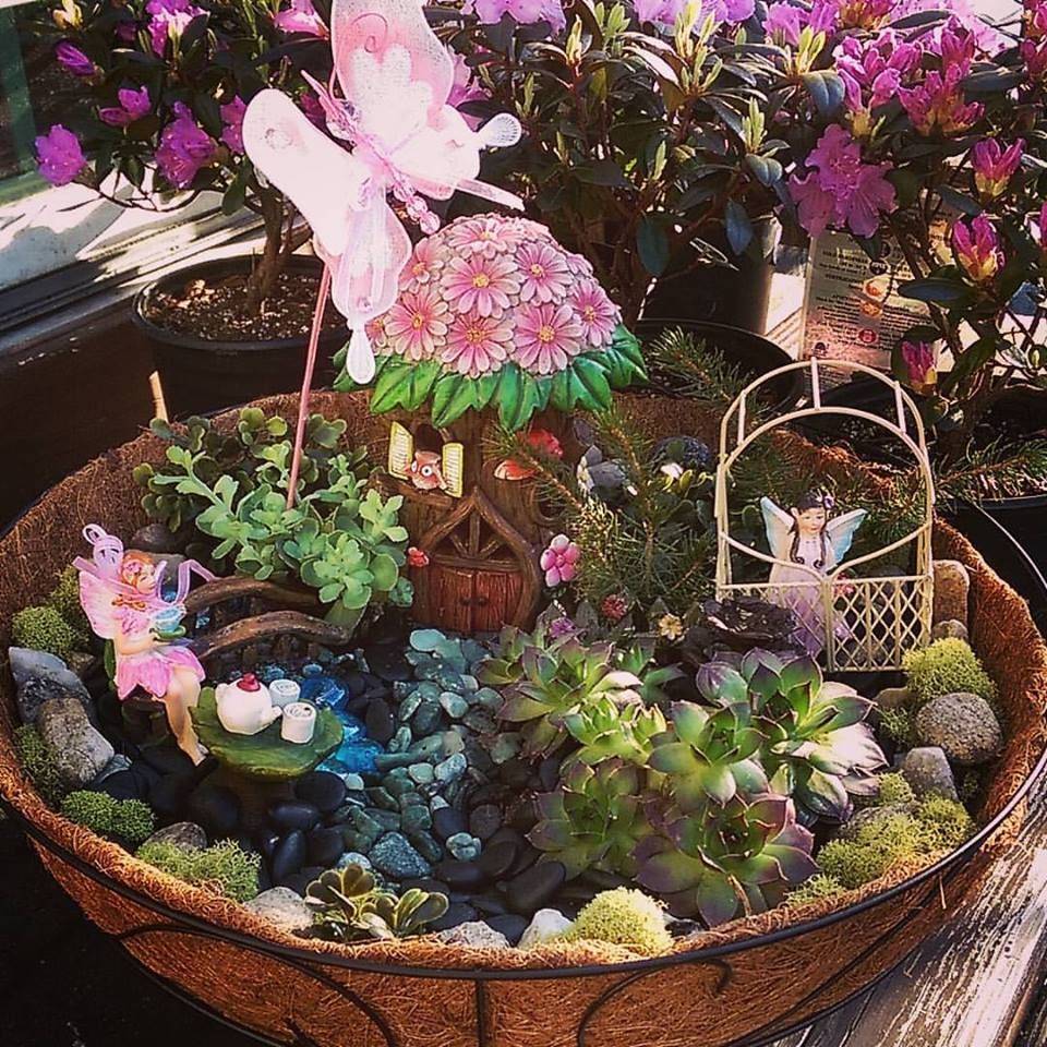 Fairy Garden Ideas