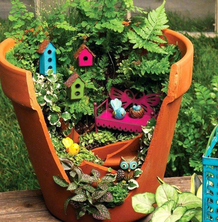 Beautiful Fairy Garden Plants Ideas