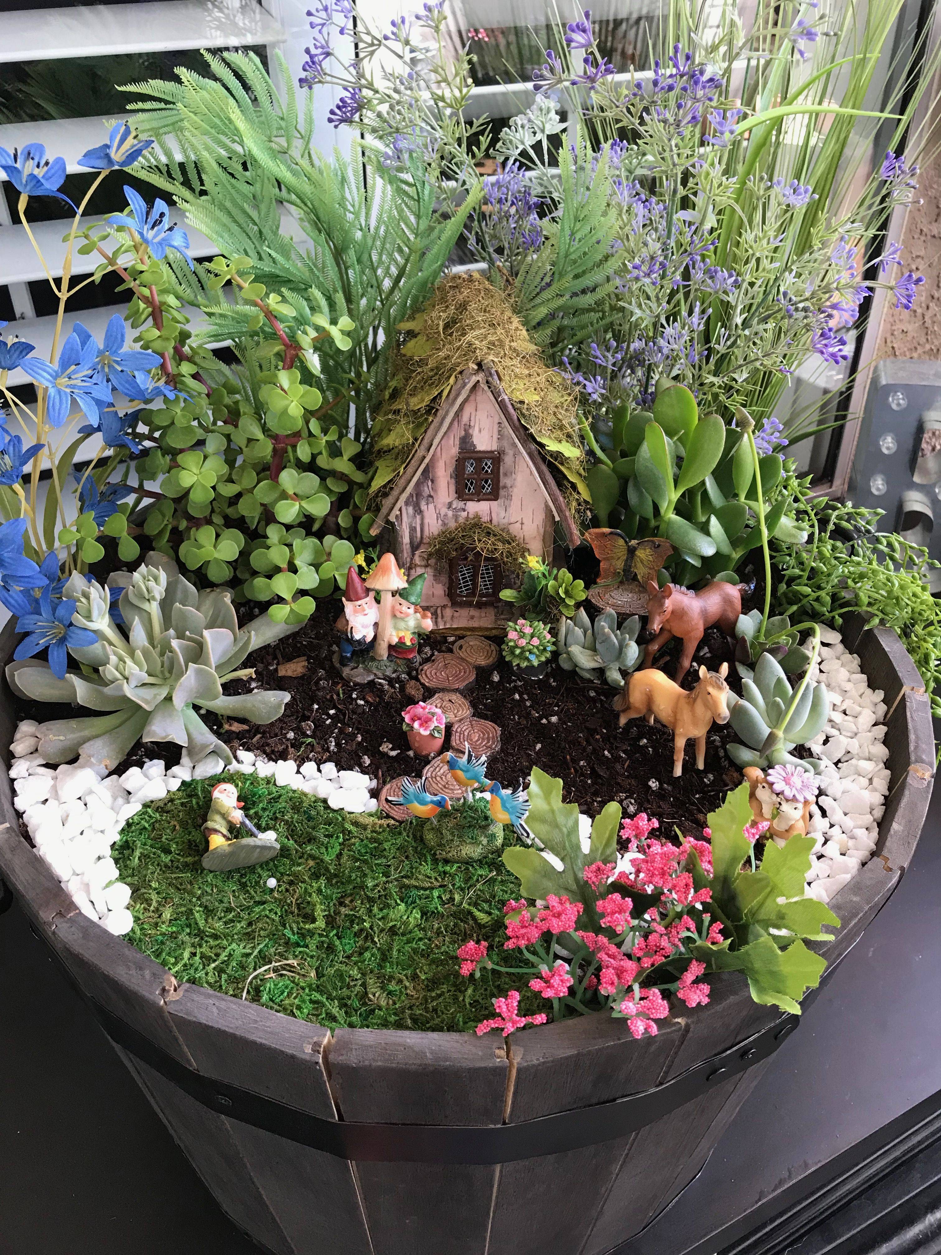 This Indoor Fairy Gardens