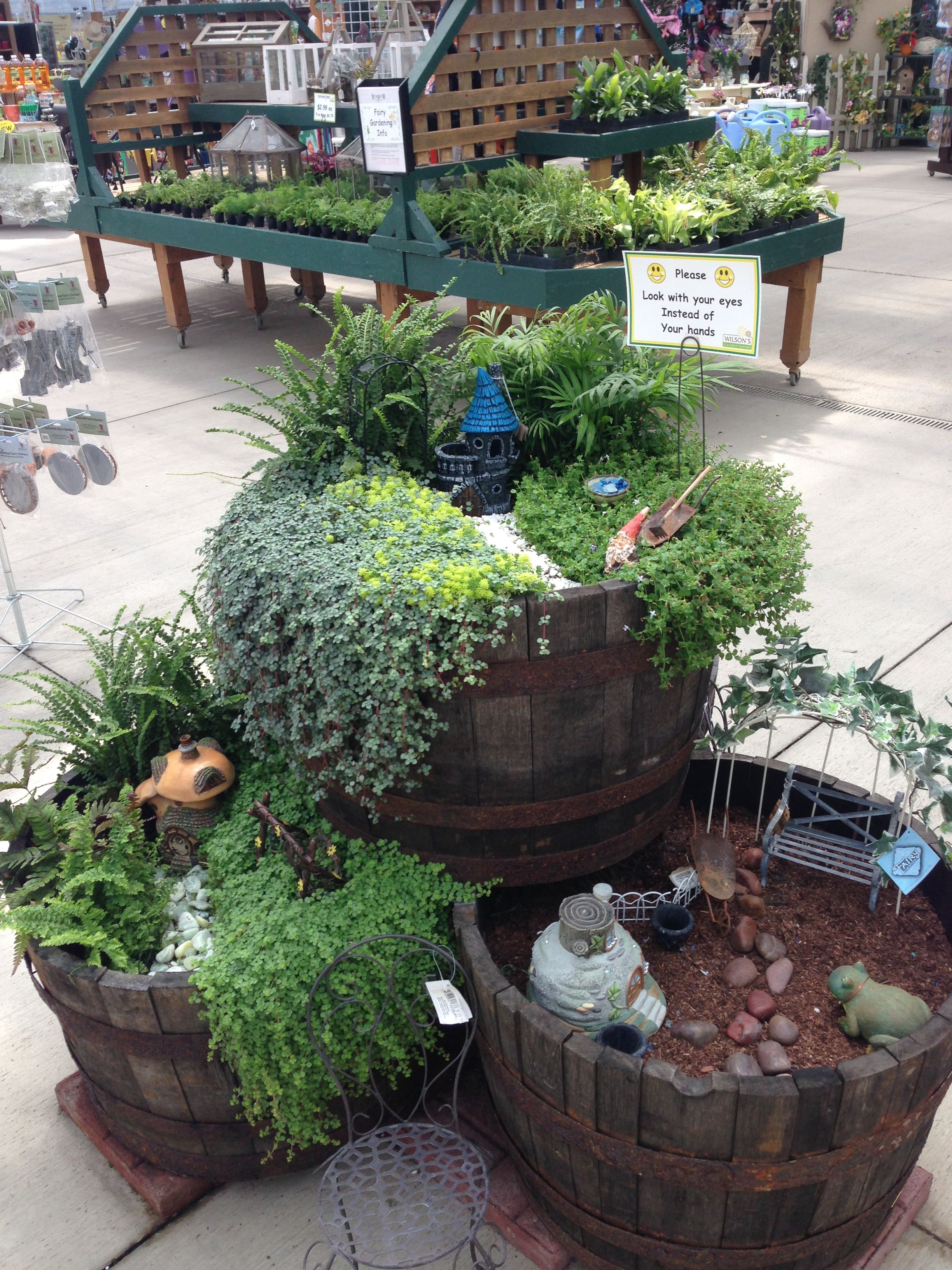 This Indoor Fairy Gardens