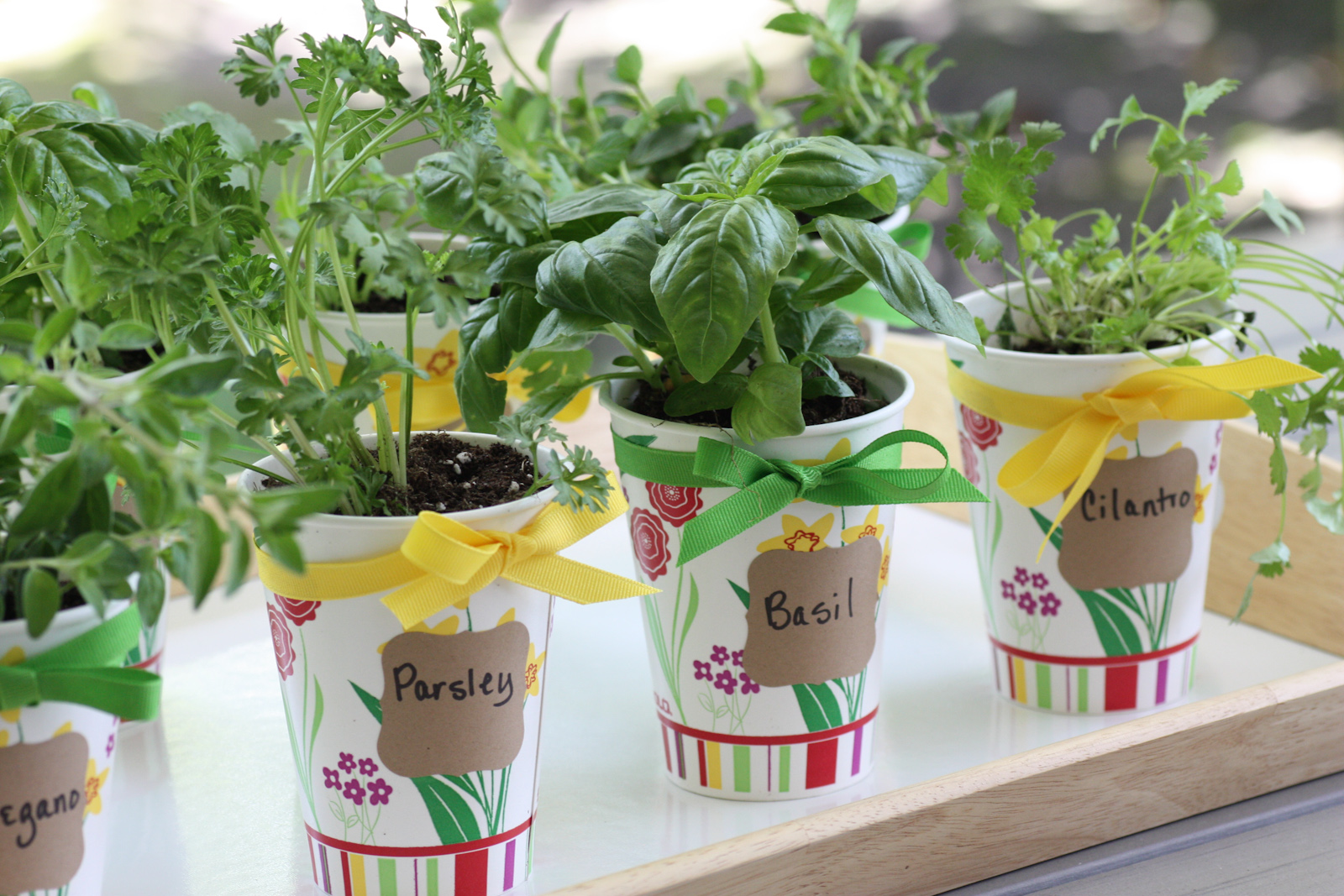 Vintage Garden Birthday Party Ideas