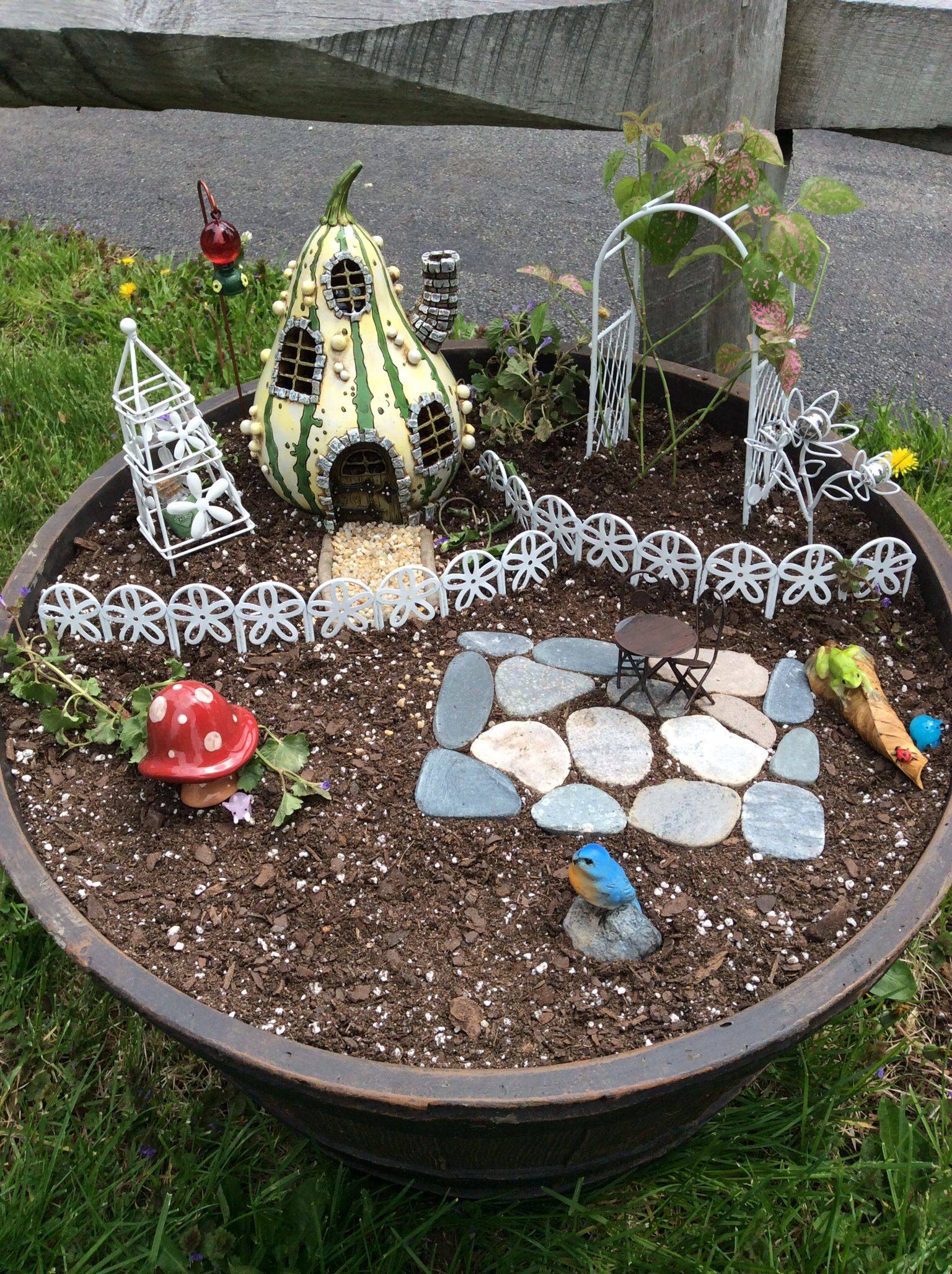 Cool Fairy Gardens