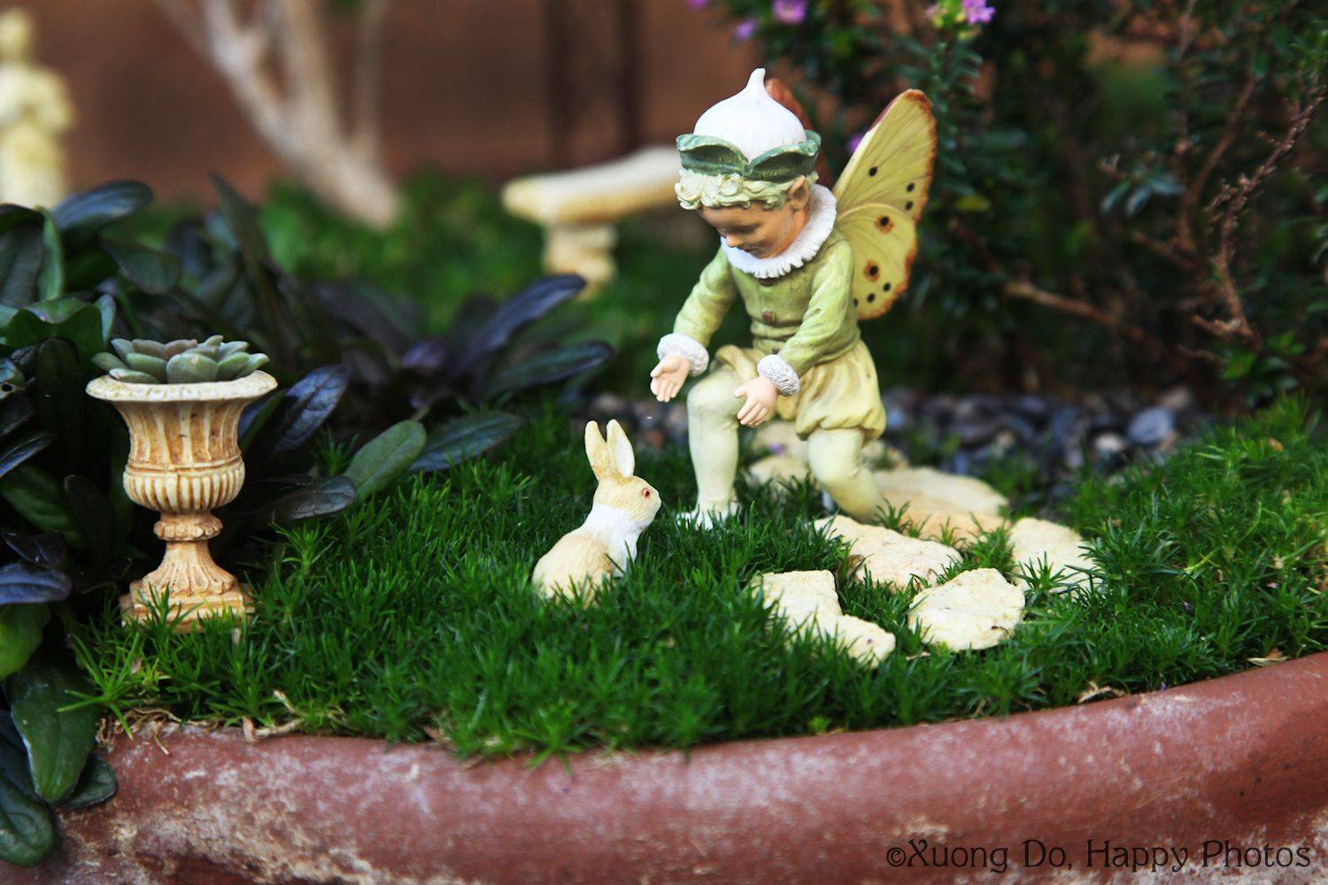 The Great Annual Miniature Garden Contest