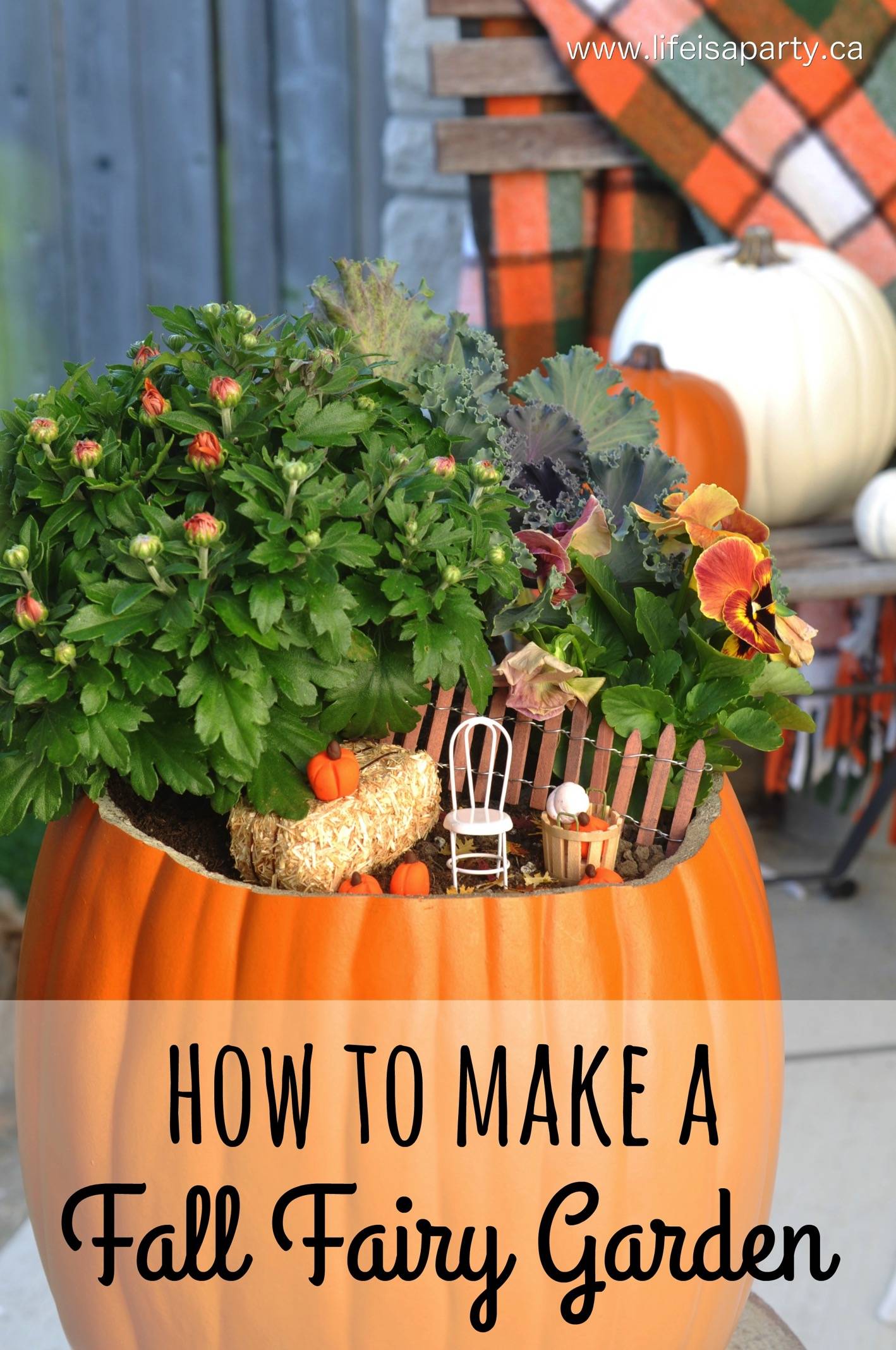 Enchanting Fall Fairy Garden Ideas