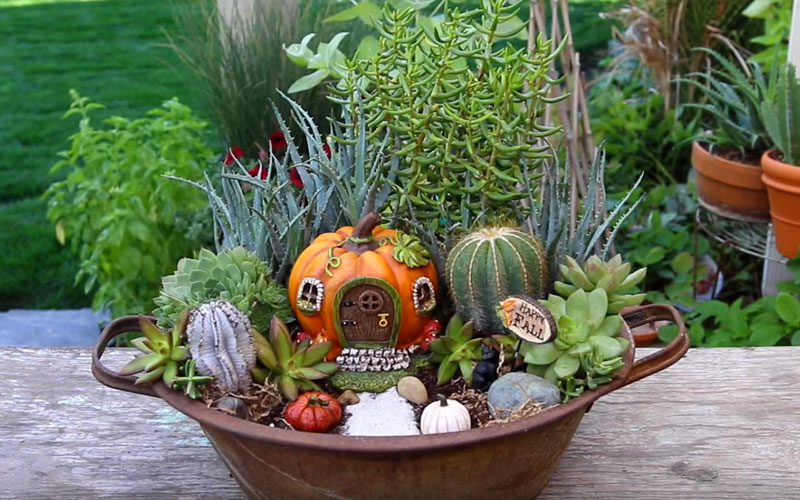 Beautiful Fall Fairy Garden Design Ideas Magzhouse