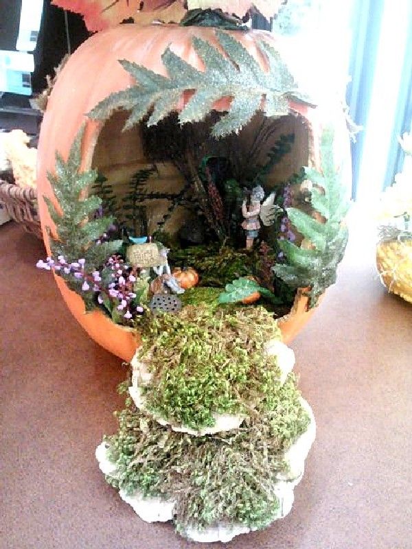 Fairy Garden Ideas
