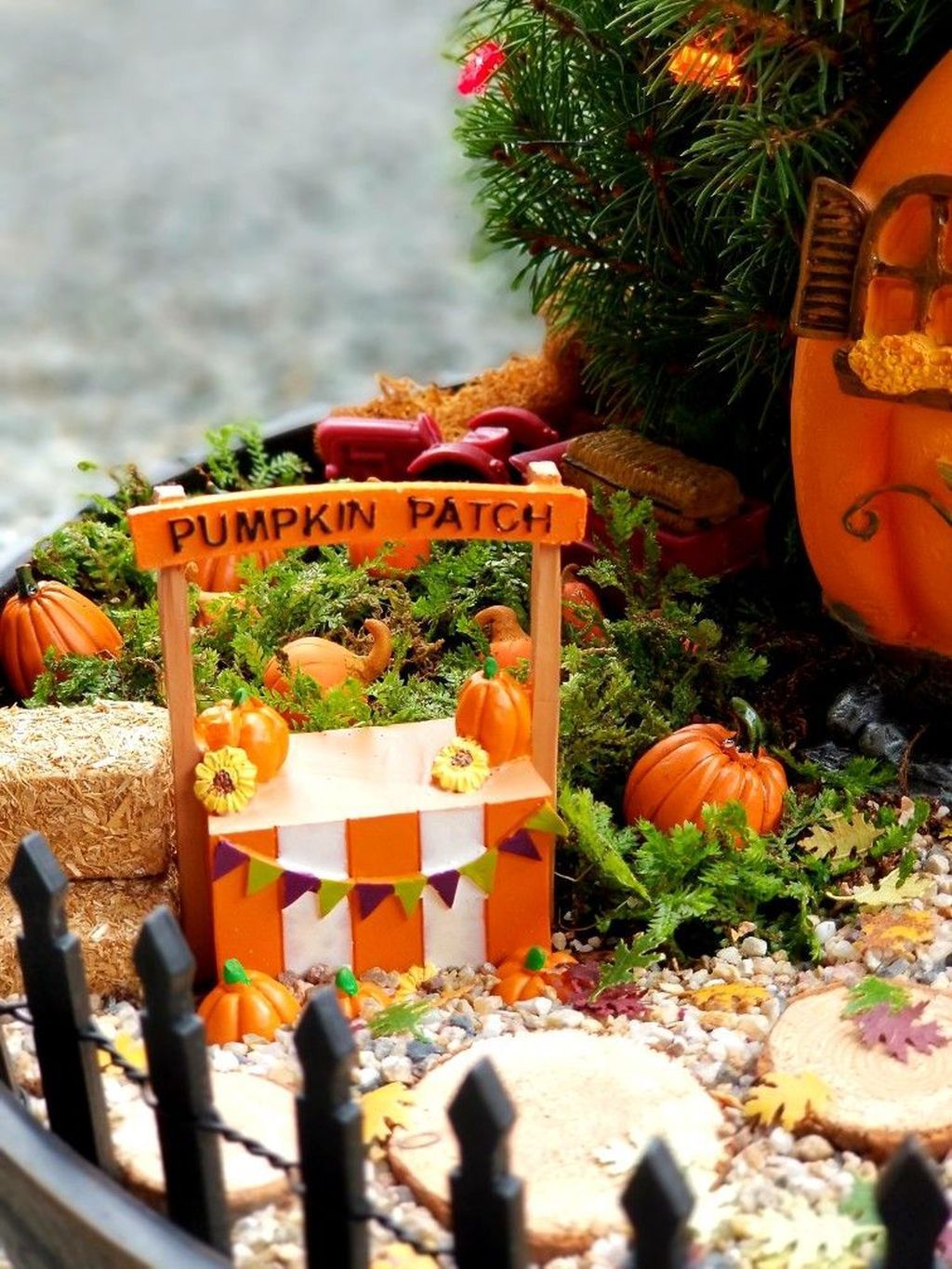 Fall Fairy Garden Fall Halloween Pumpkin Fairy Gardens Ideas Supplies