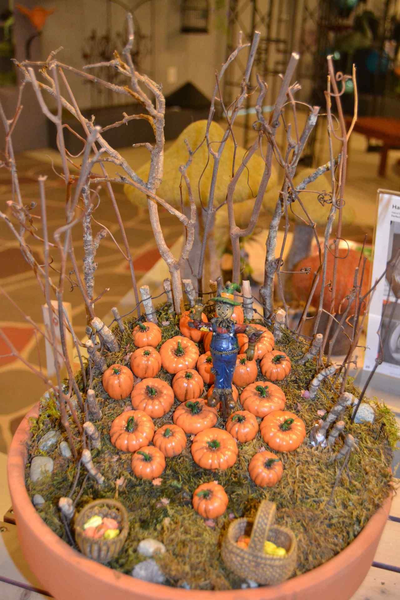 Fall Fairy Garden Prairie Gardens Champaign