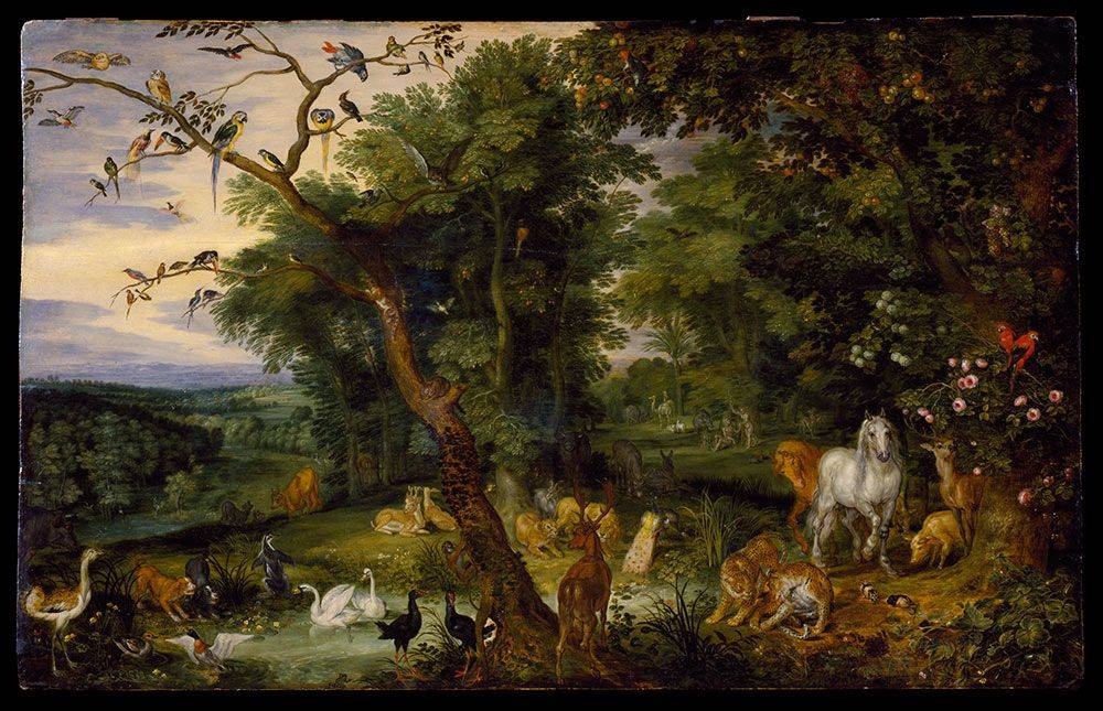Notquitehuman Subject Hieronymus Bosch