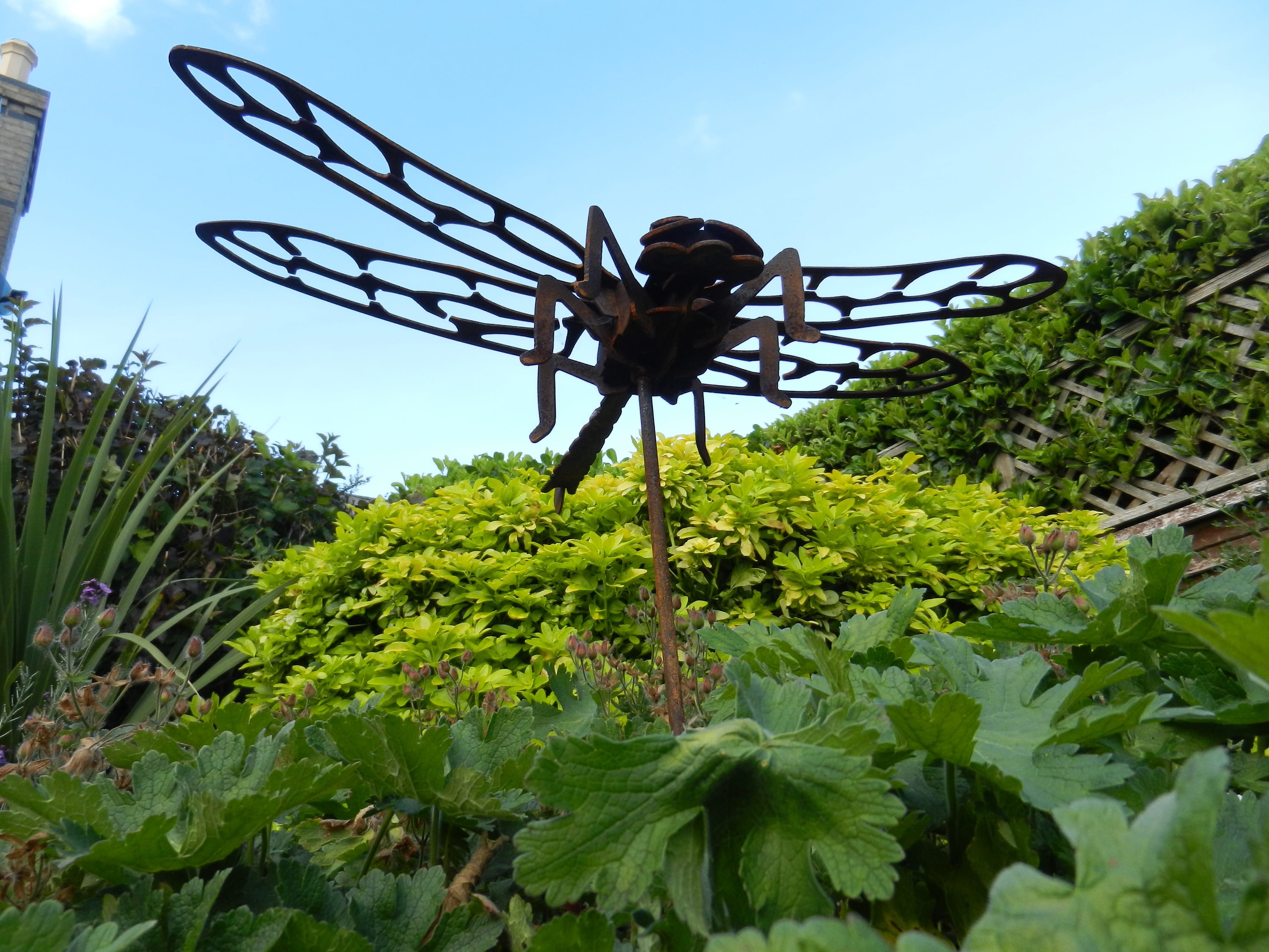 Garden Dragonfly Garden Sculpture