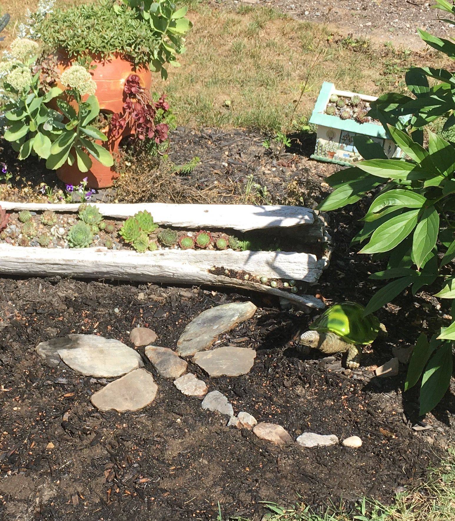 Dragonfly Decor Dragonfly Wall Decor