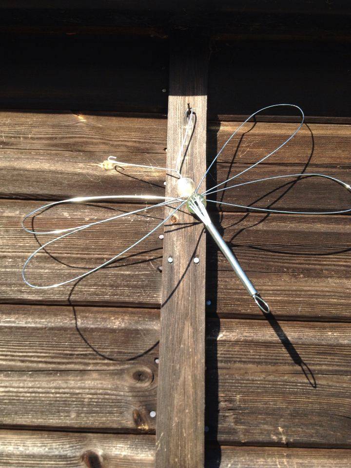 Dragonfly Decor Dragonfly Wall Decor