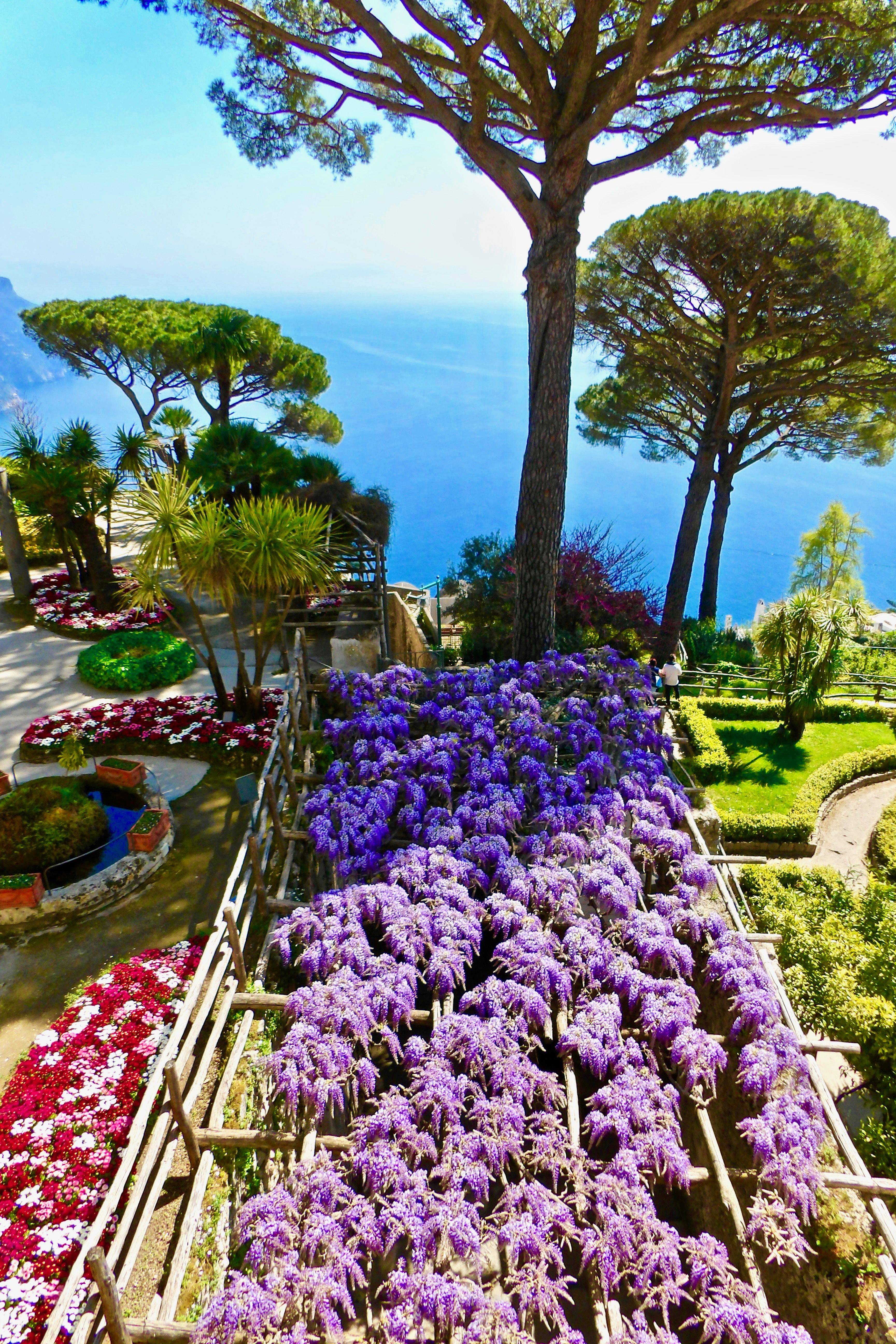 Flower Garden