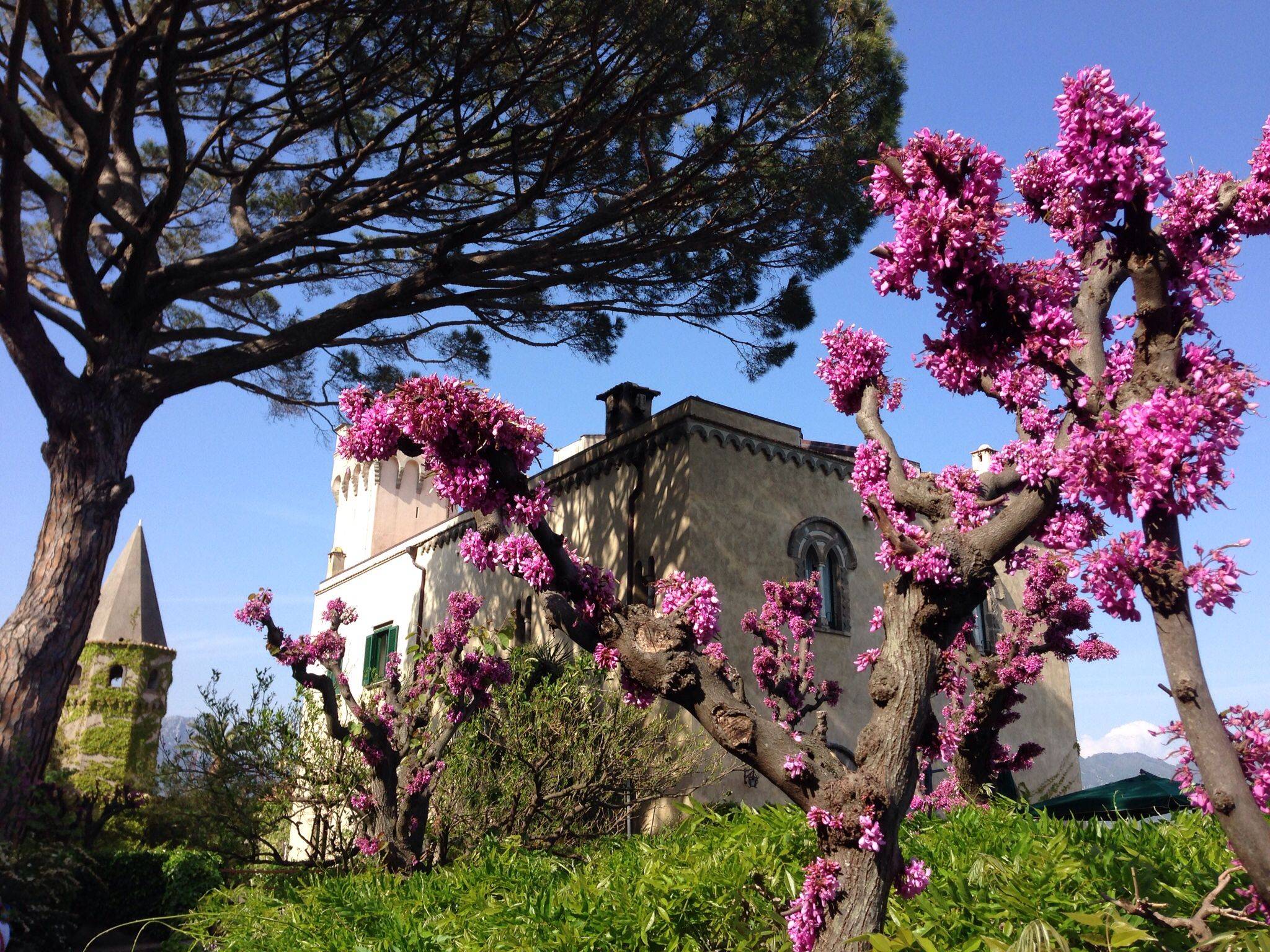 Ravello Garden Campania