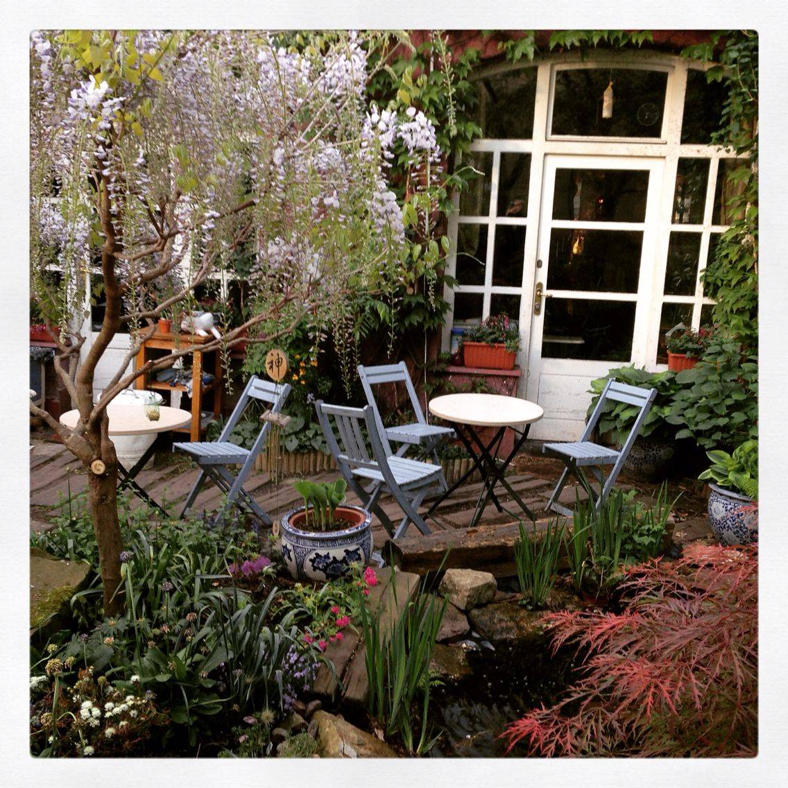 A Beautiful Garden