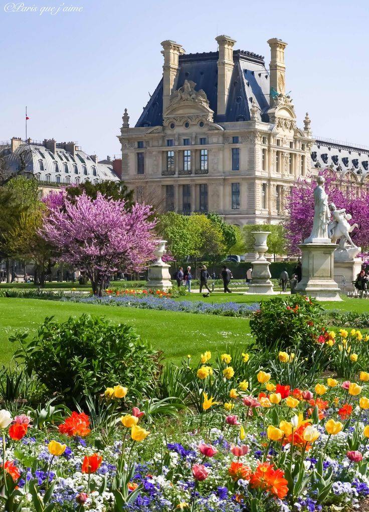 Tuileries Garden Paris