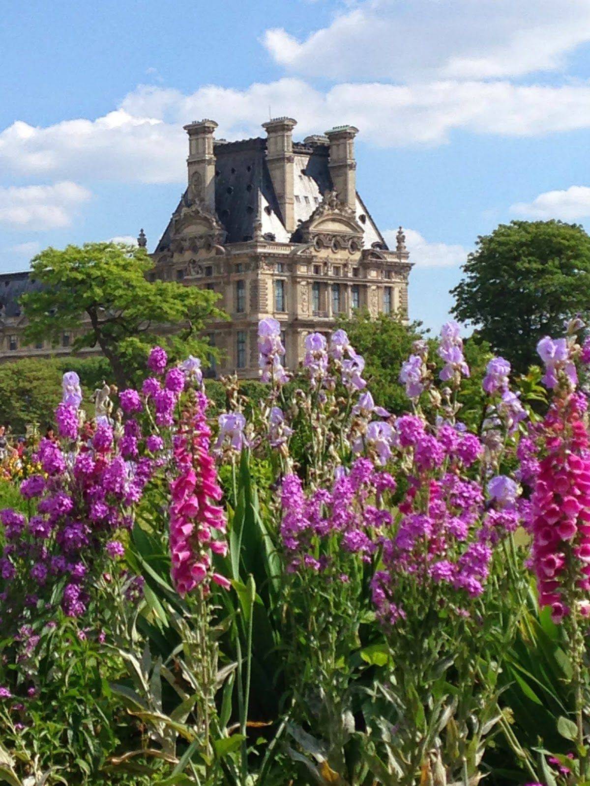 Tuileries Gardens Paris Garden Ftempo