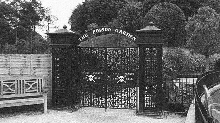The Poison Garden Alien Ufo Sightings
