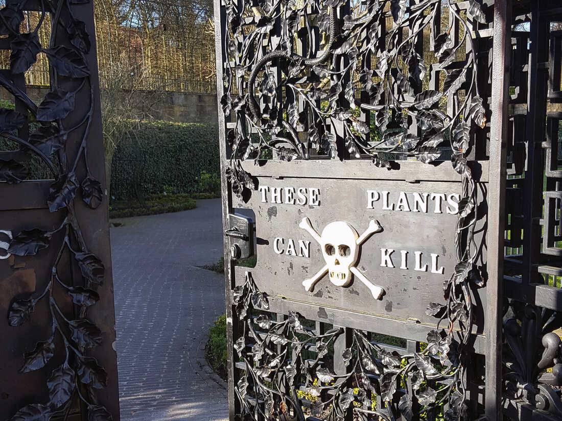 The Poison Garden