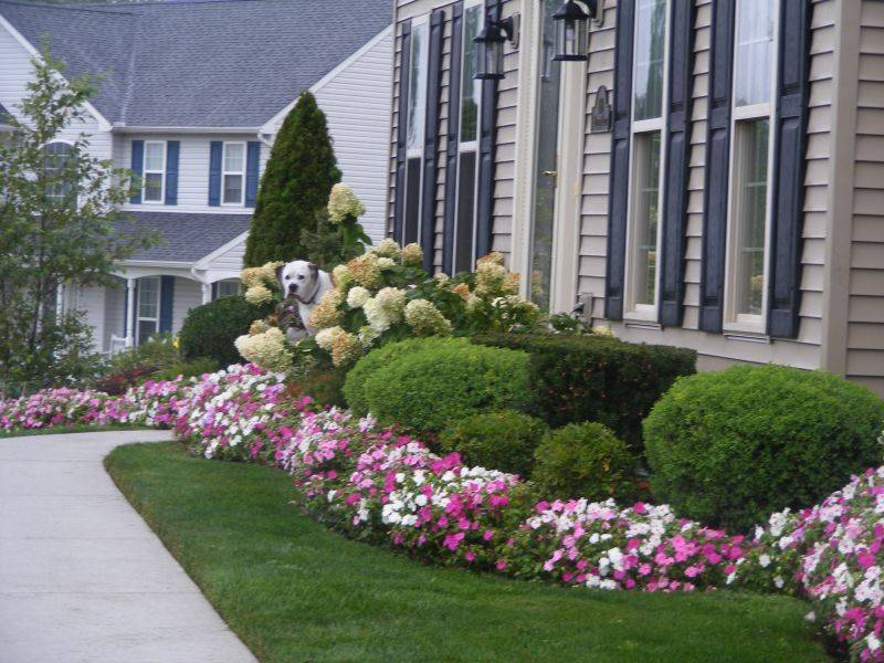 Best Front Yard Hedges Ideas