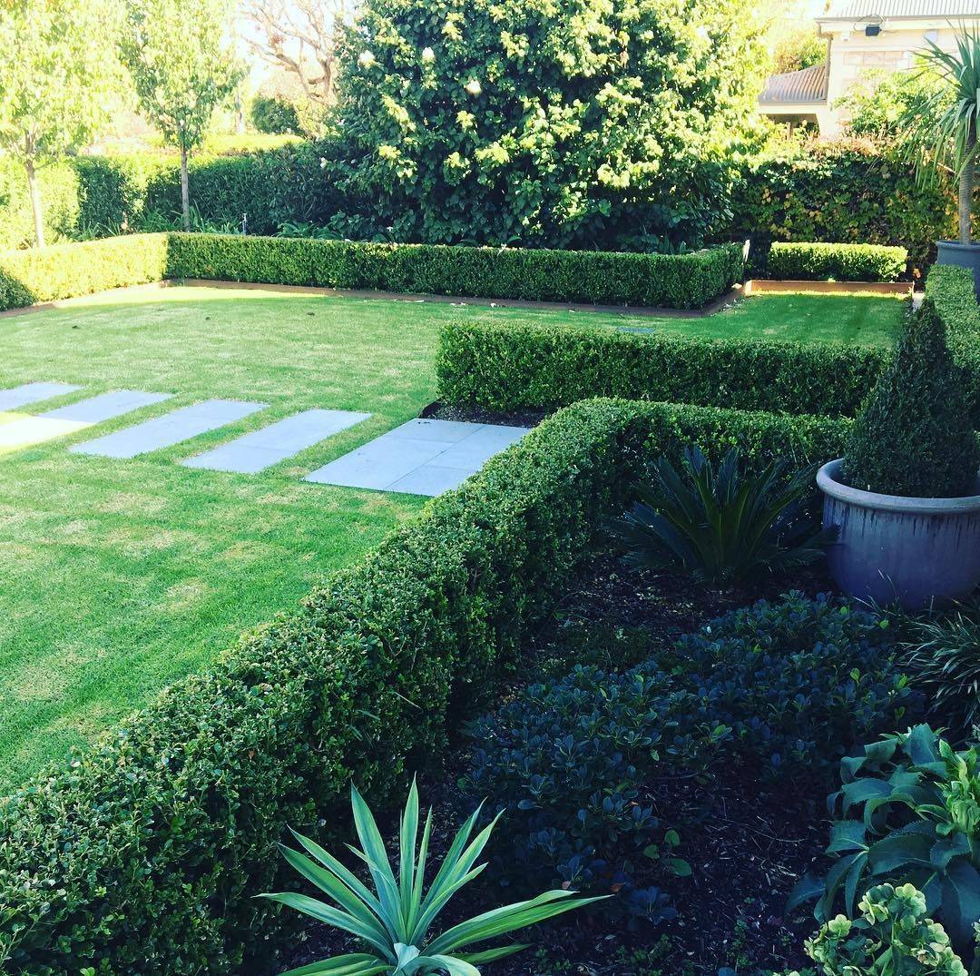 Boxwood Hedge Front Yard Landscaping Edina