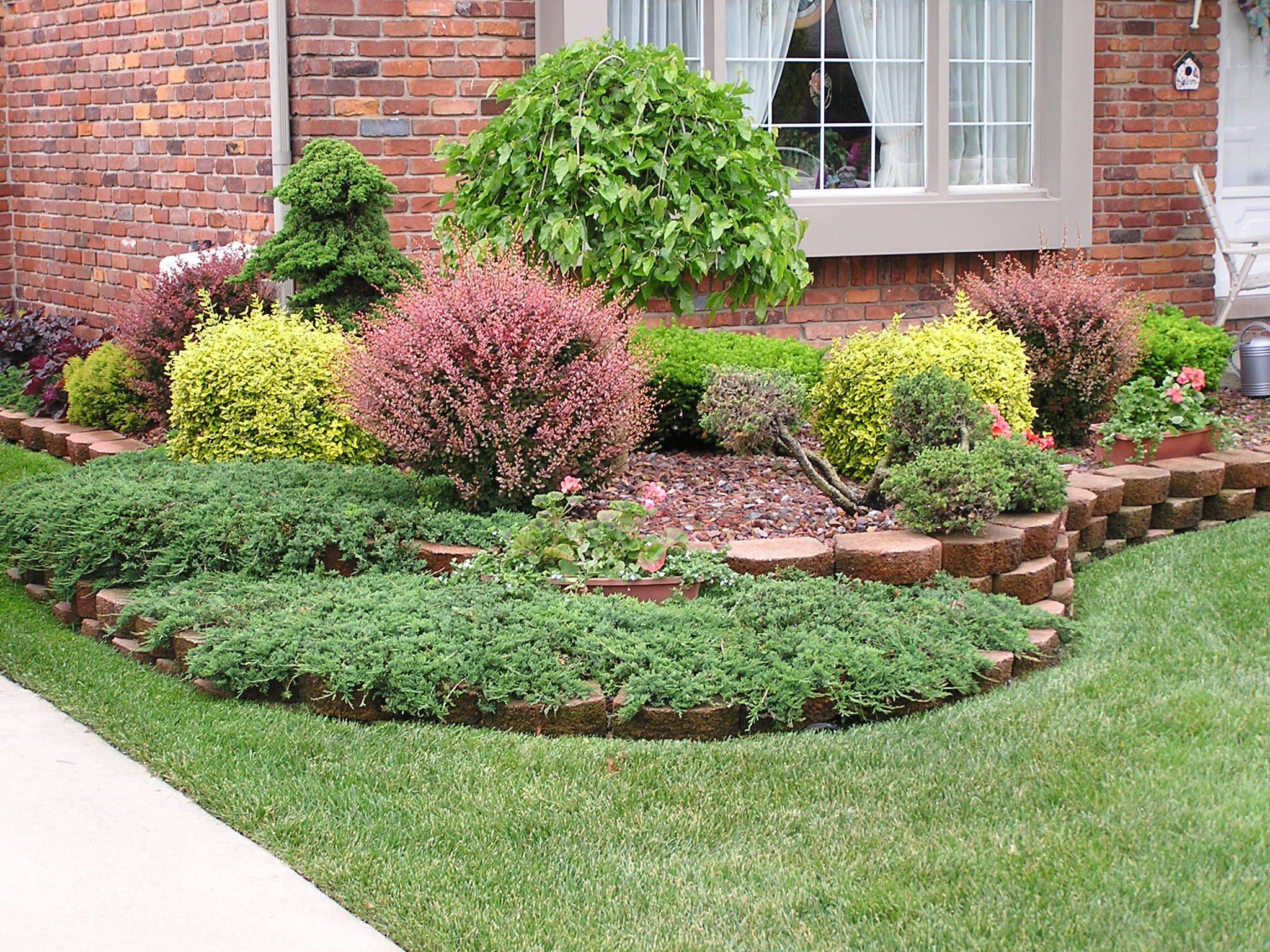 Clipped Structural Box Hedging Backyard Landscaping Plans