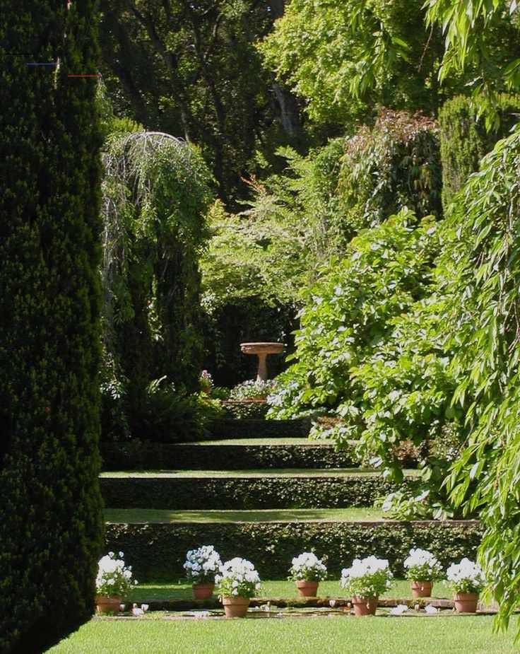 Backyard Landscaping Ideas