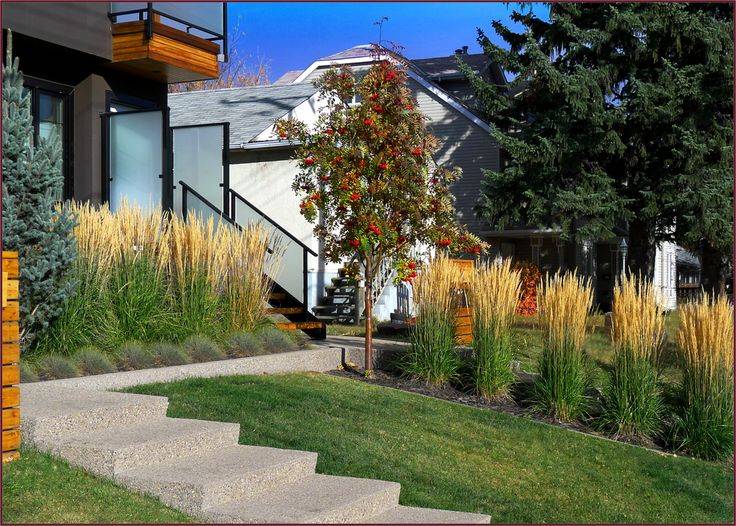 Italian Roma Tuscan Garden Ideas