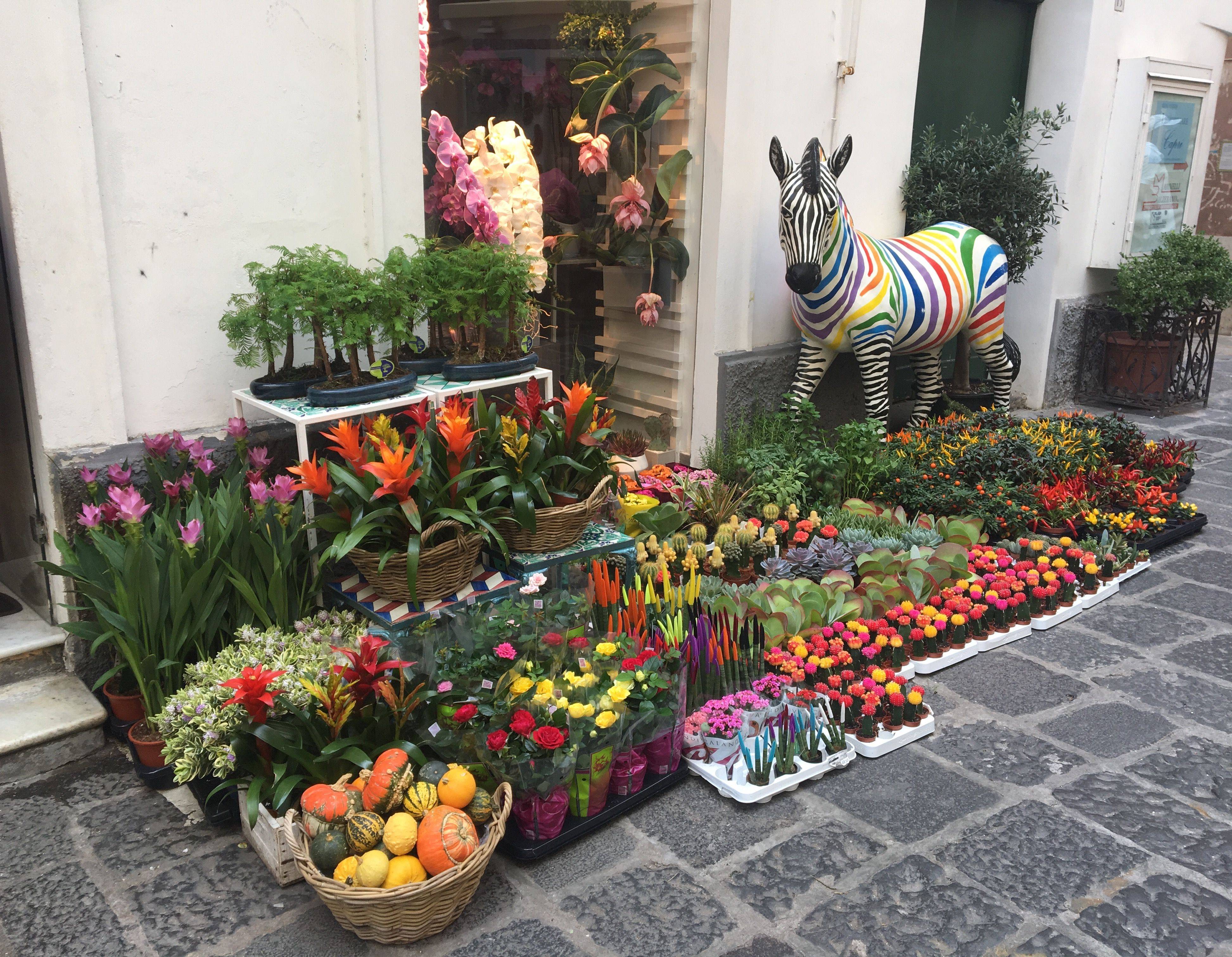 The Perfect Capri Itinerary