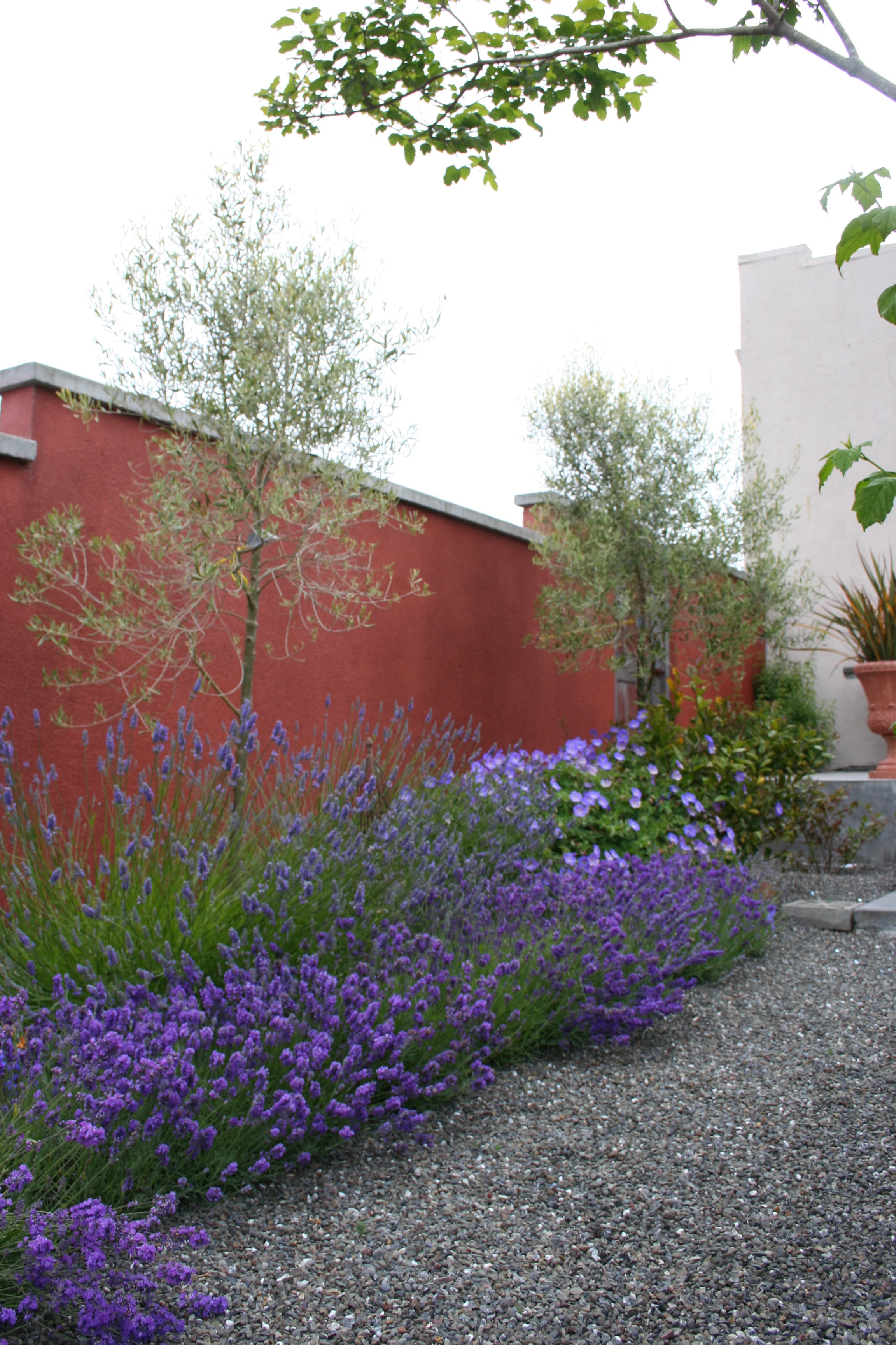 A Mediterranean Garden Style Mediterranean Garden Design