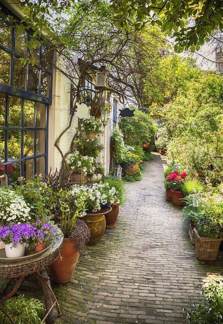 Garden Path Designs Ideas
